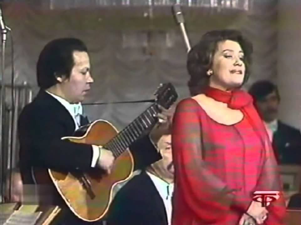 Елена Образцова Тёмно-вишнёвая шаль