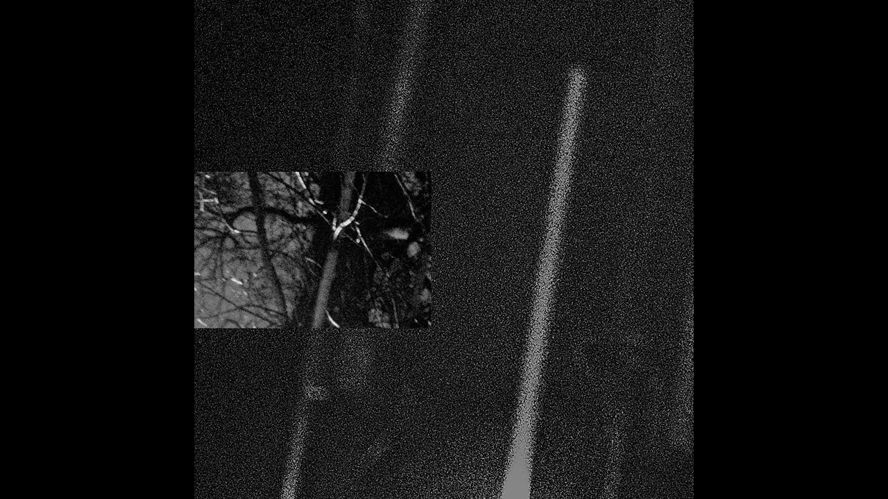 ｓｌｉｋｂａｃｋ N E T A R I H I L A S (full album) 2023