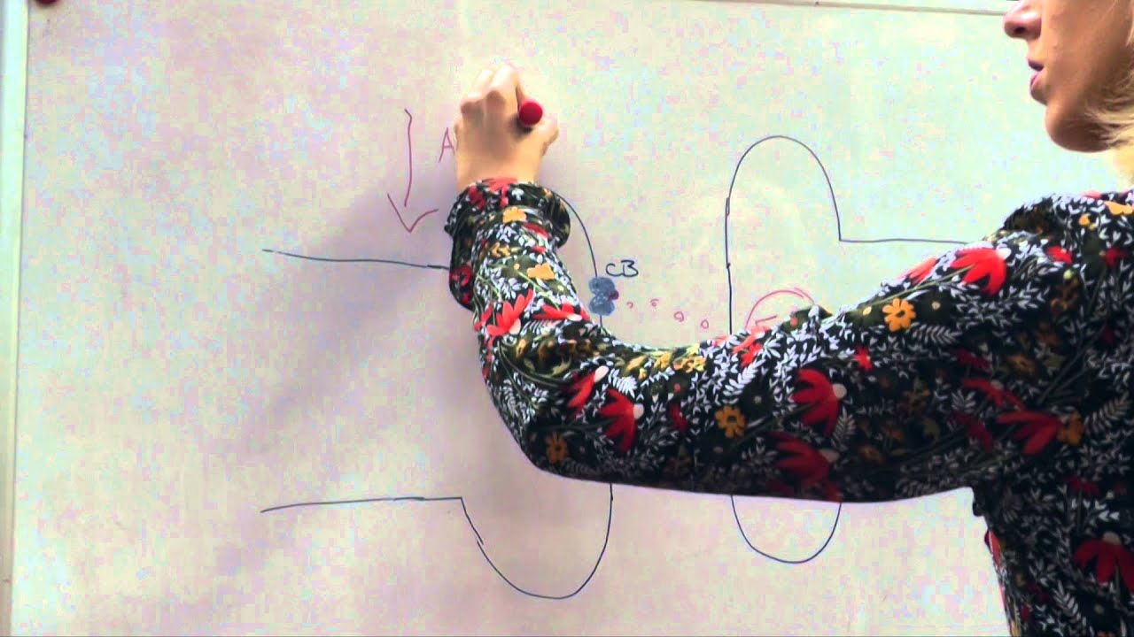 Orla Haugh - PhD student in Neuroscience, Trinity College Dublin