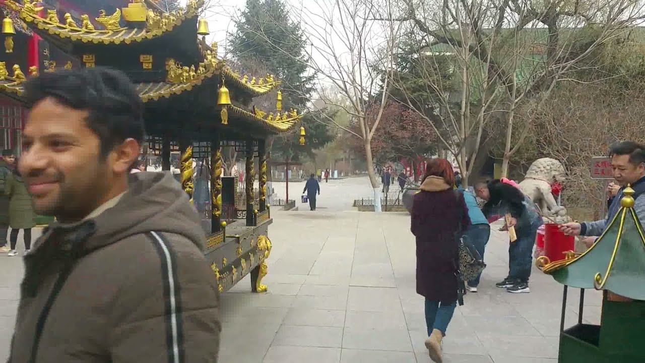 Northeast Forestry University. Harbin China 东北林业大学： 中国 🇨🇳 | Life in Harbin, China | 东北林业大学 Vlog