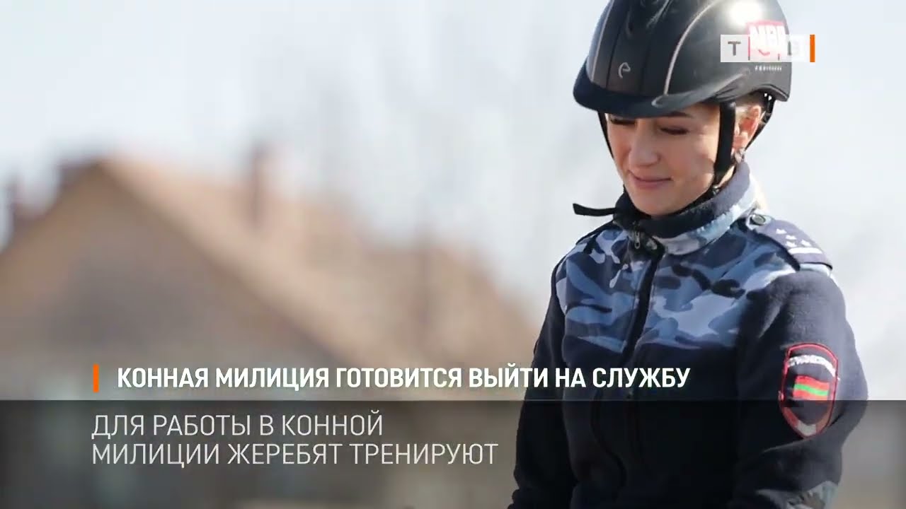 Конная милиция готовится выйти на службу