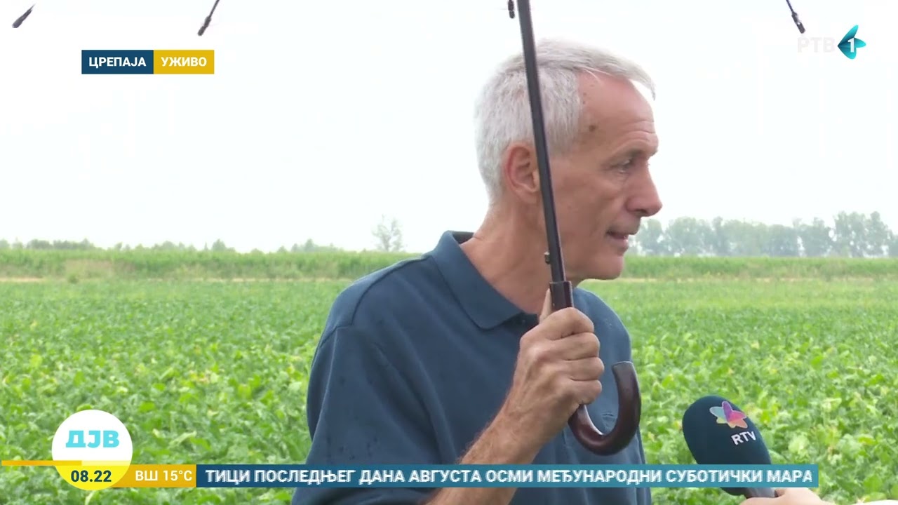 Kako je vrućina uticala na šećernu repu?