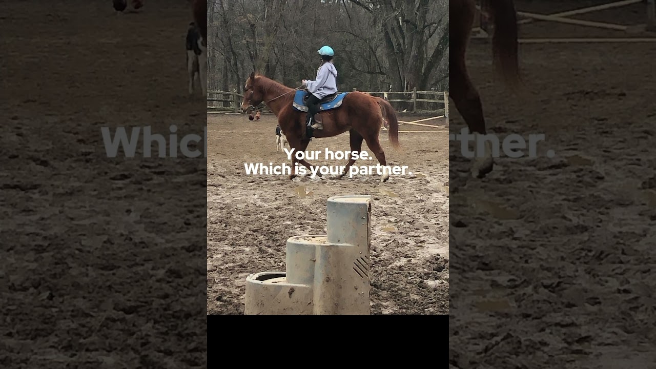Trust me barrel racing horseback riding most dangerous sport a horse can be up to 2000 pounds