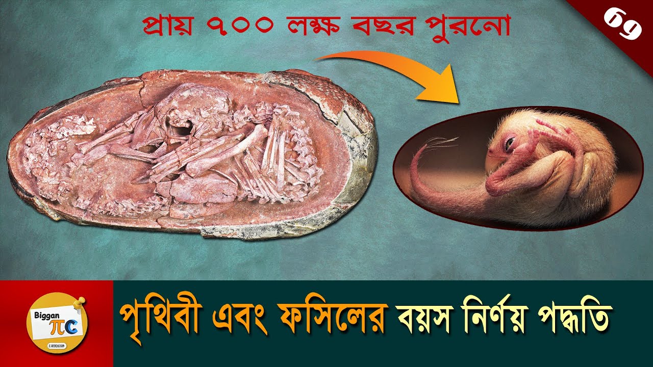 পৃথিবী এবং ফসিলের বয়স নির্ণয় Methods of determining the age of earth and fossils explained Ep 69