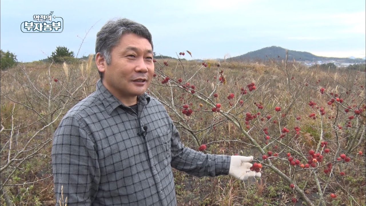 [119회] '꾸지뽕'으로 연매출 8억!