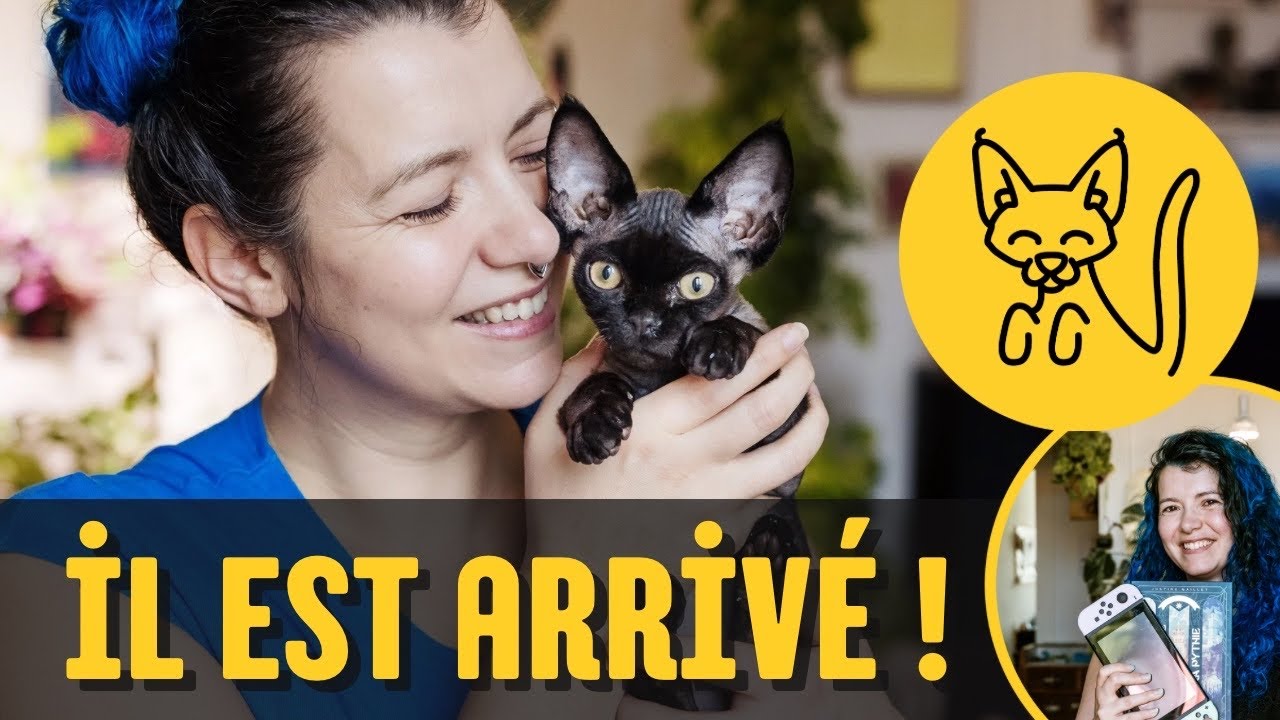 🥰 Je te présente mon chaton ! 🐈‍⬛
