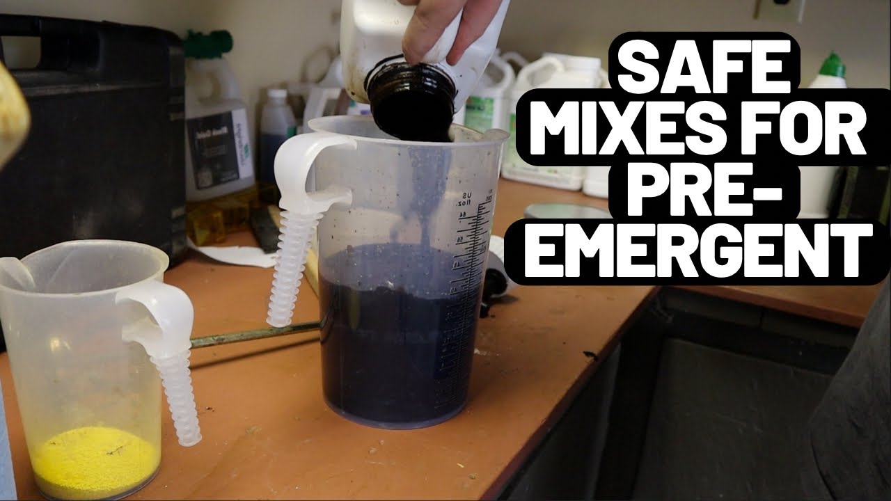 Which products can I mix with Prodiamine 65 WDG?