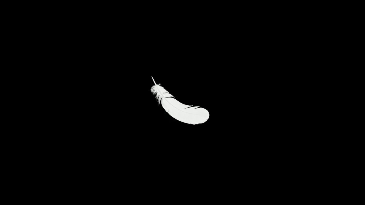 [Free] Flyboy Tarantino x Craig Xen Type Beat- 