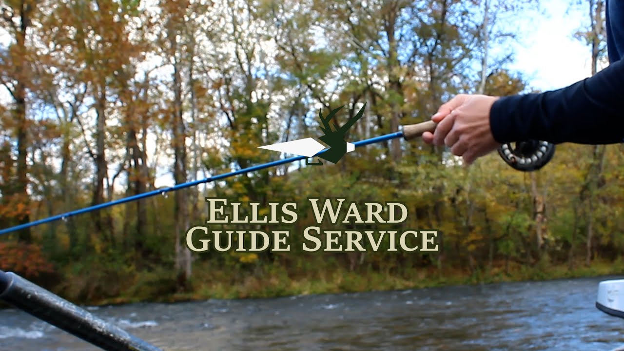 Ellis Ward Guide Service - Streamer Fly Fishing, Dry Fly Fishing, Conventional Fishing in East TN