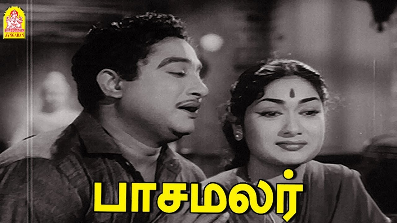உன் திட்டத்துக்கு எல்லாம் என்ன ஒட்டடை கொம்பா பயன் படுத்துறியே இது சரியா ?  |Pasamalar HD