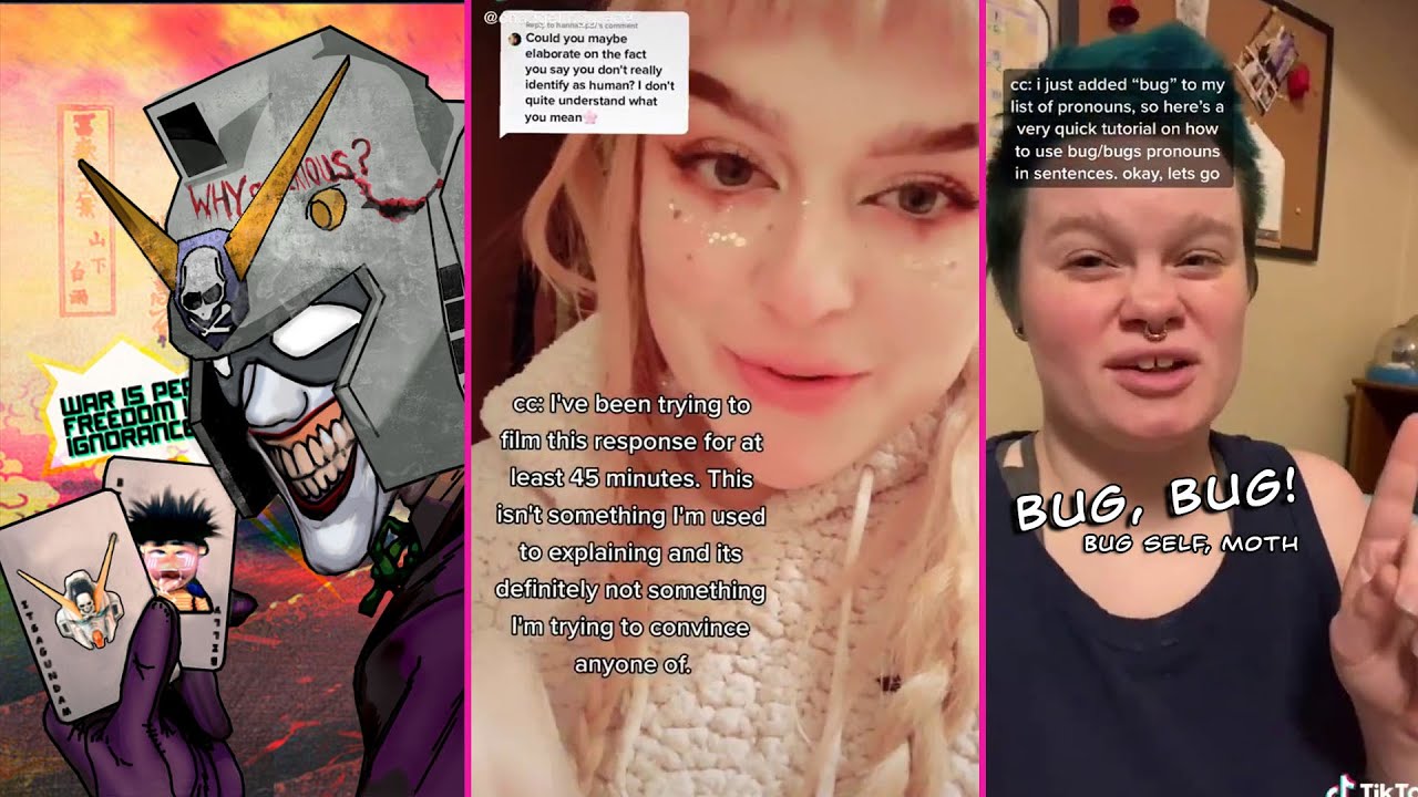 Zoomers on tiktok have more pronouns than braincells