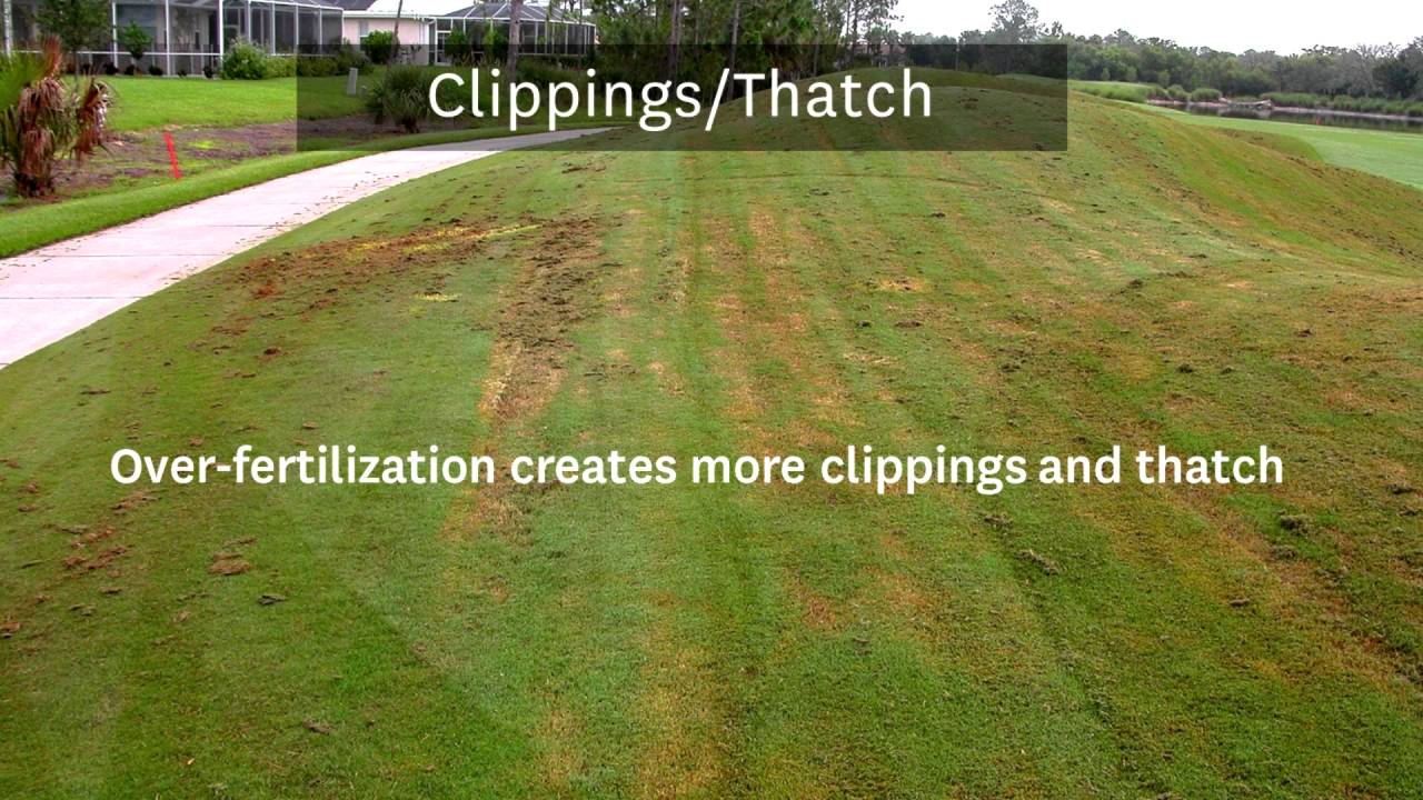 Webcast: How Fertilization Affects Your Golf Course