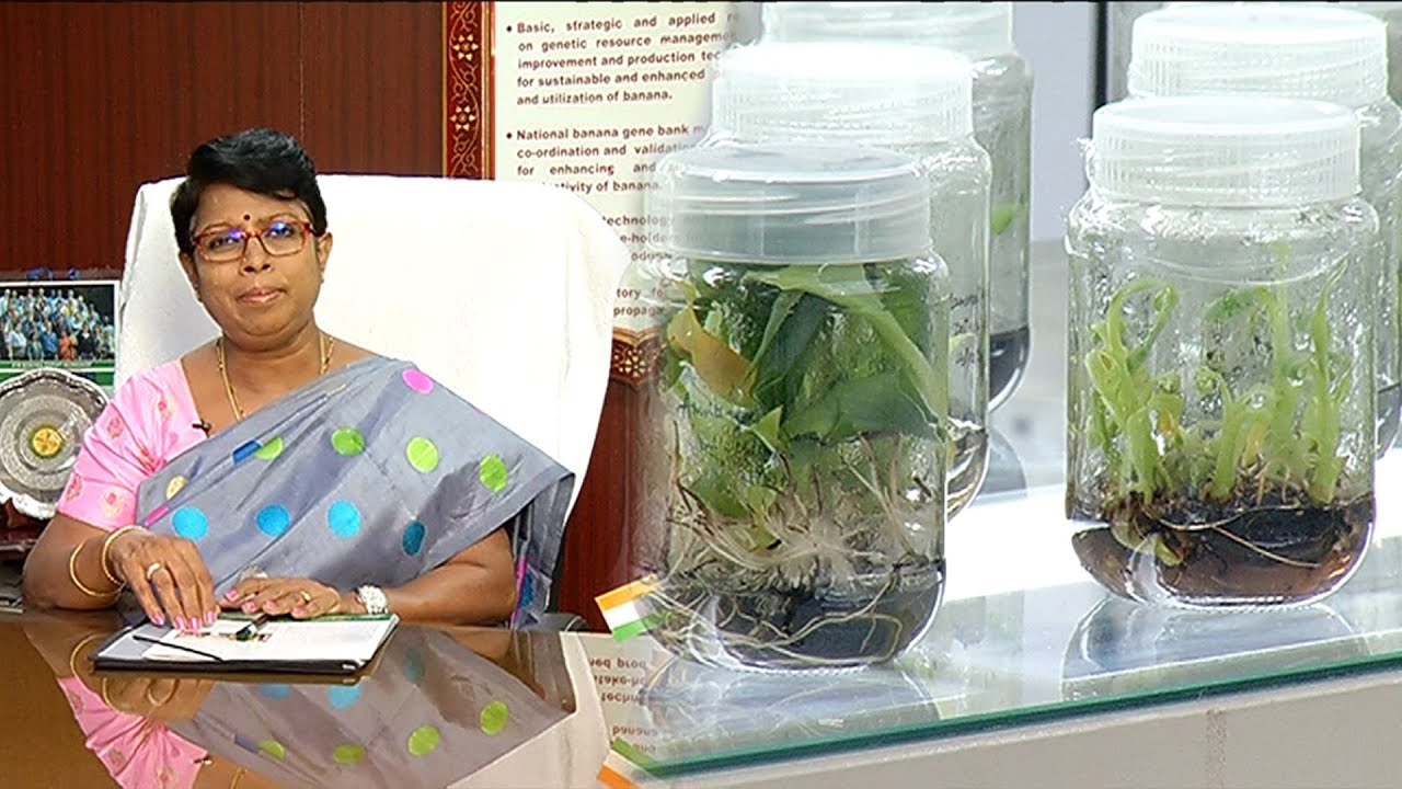 வாழ வைக்கும் வாழை | Banana Research Center | Malarum Bhoomi