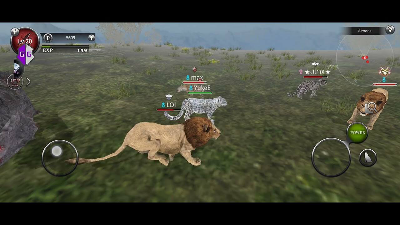 wild animals online i accidentally found a pos and leveled my snow leo up to 20th lvl