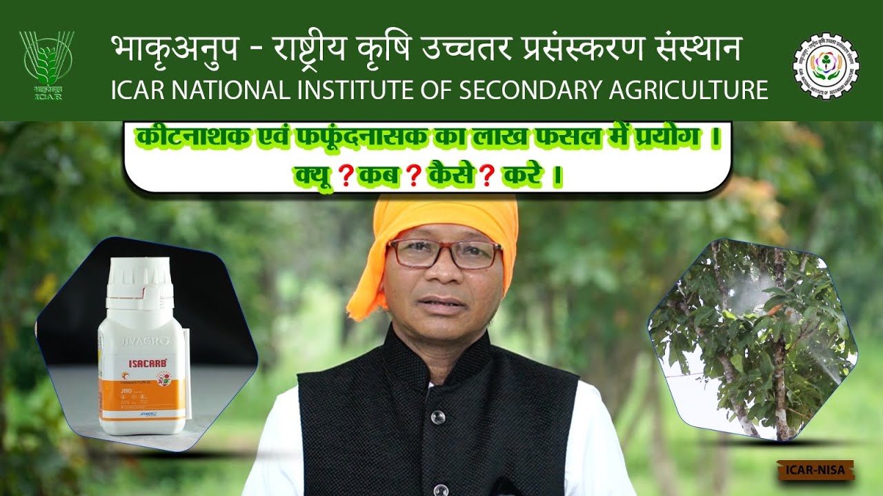 कीटनाशक एवं फफूंदनासक का लाख फसल में प्रयोग | क्यू ? कब ? कैसे ? करे  || ICAR-NISA ||