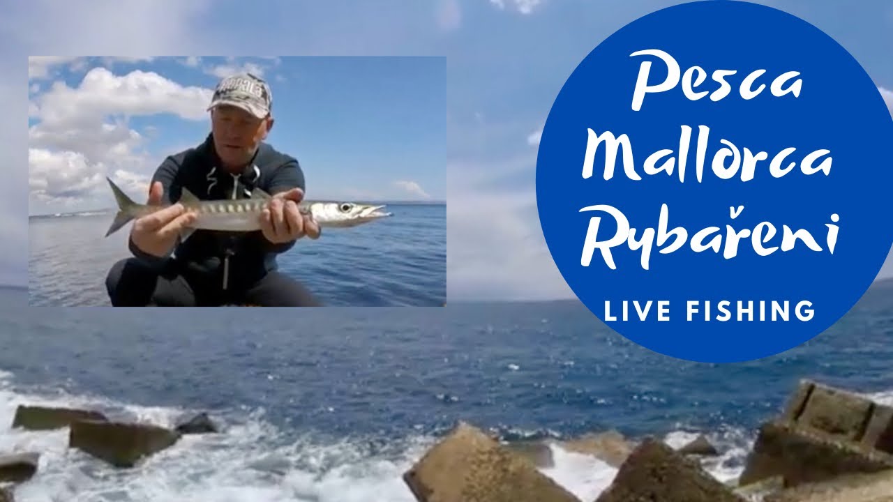 Rybaření Mallorca , Pesca en Palma de Mallorca