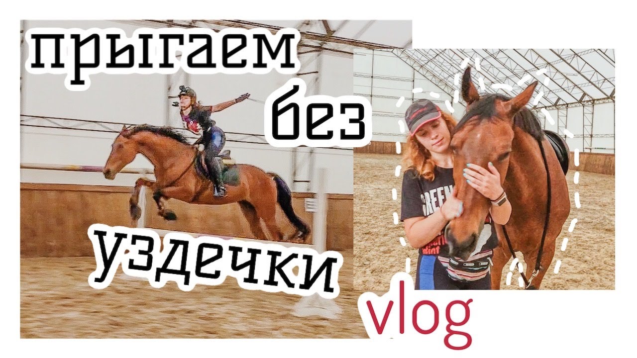 VLOG: конкур на кордео/день из жизни конника