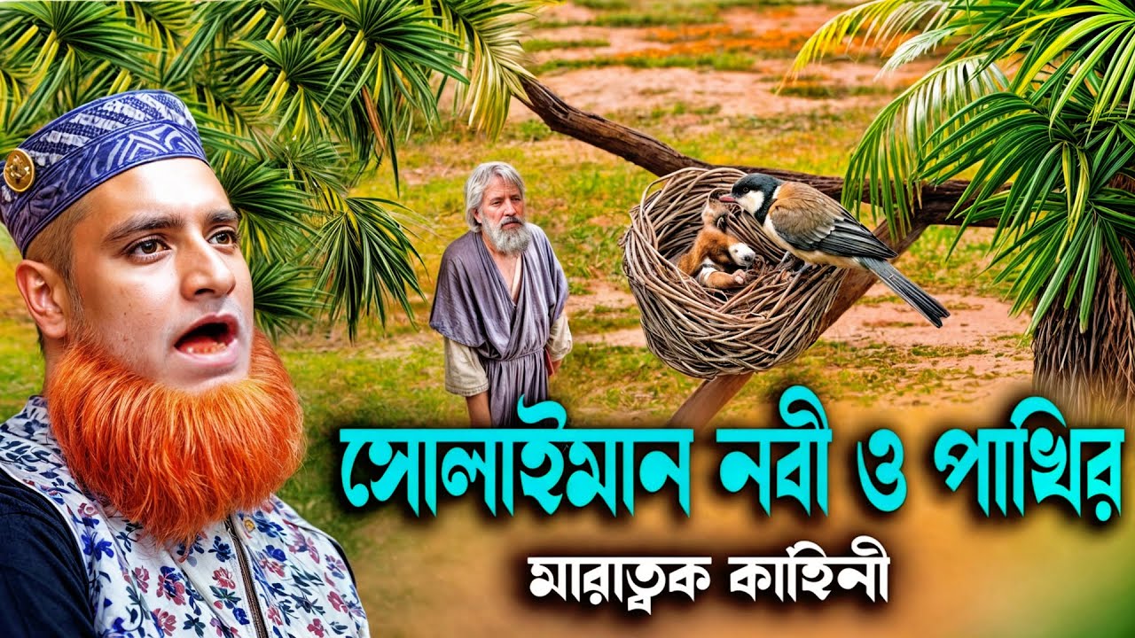 সুলাইমান আঃ এর জীবনী bojlur roshid waz !  bojlur roshid waz 2024 ! বজলুর রশিদের  ওয়াজ ২০২৪