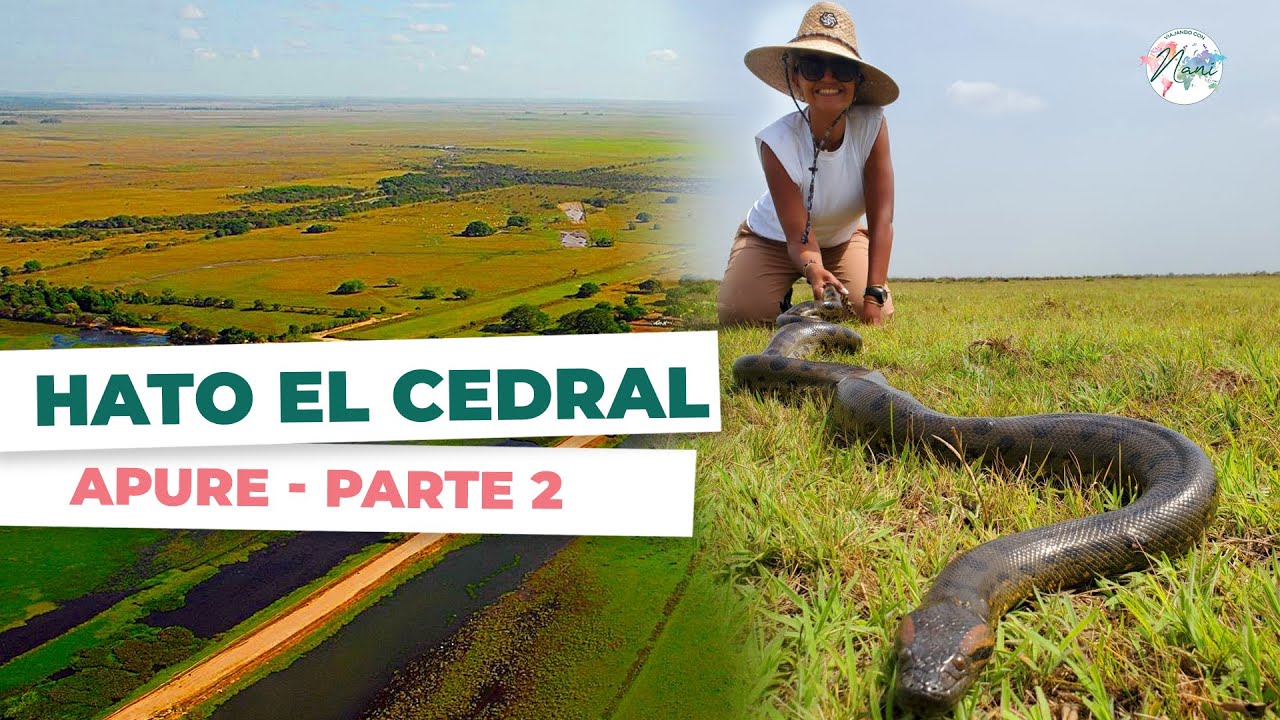 Hato El Cedral - Conociendo Apure Parte 2