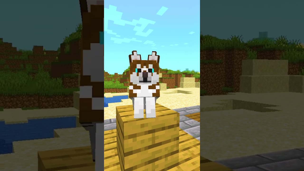 Dodaliśmy wszystkie RASY PS&Oacute;W do Minecraft! (część 1)