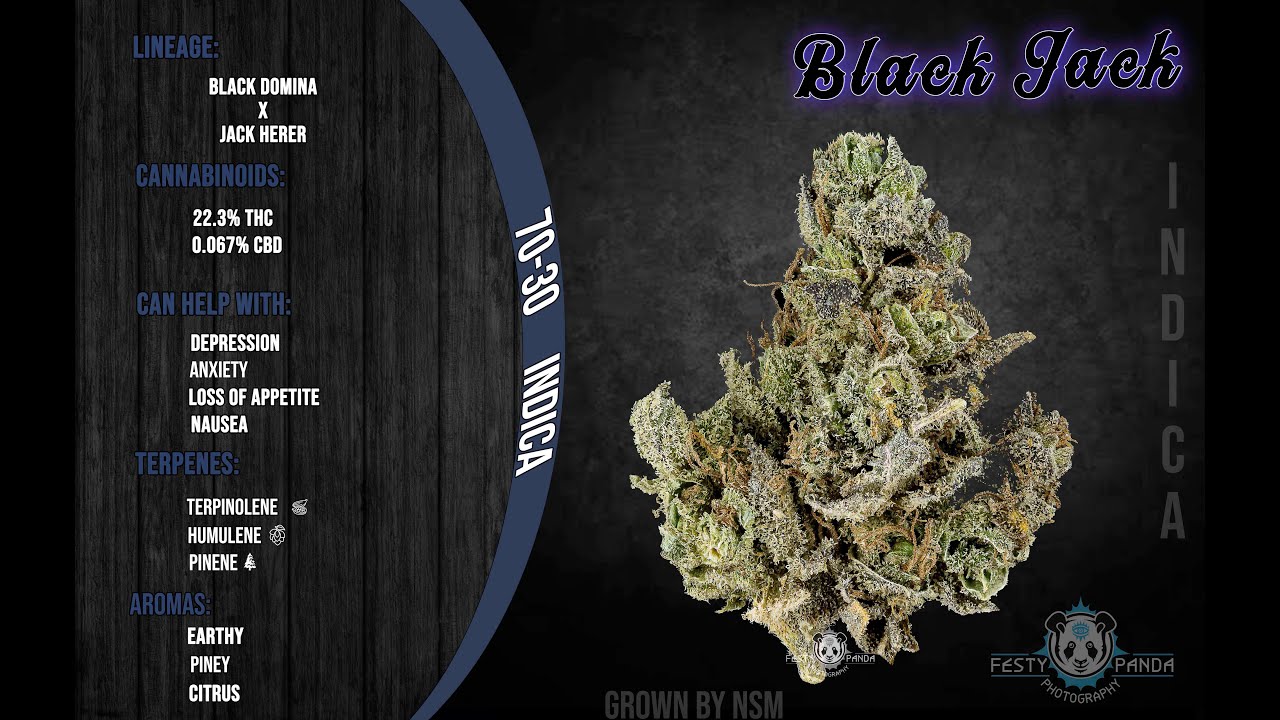 Black Jack - Natural State Medicinals - A FestyPanda Strain Review