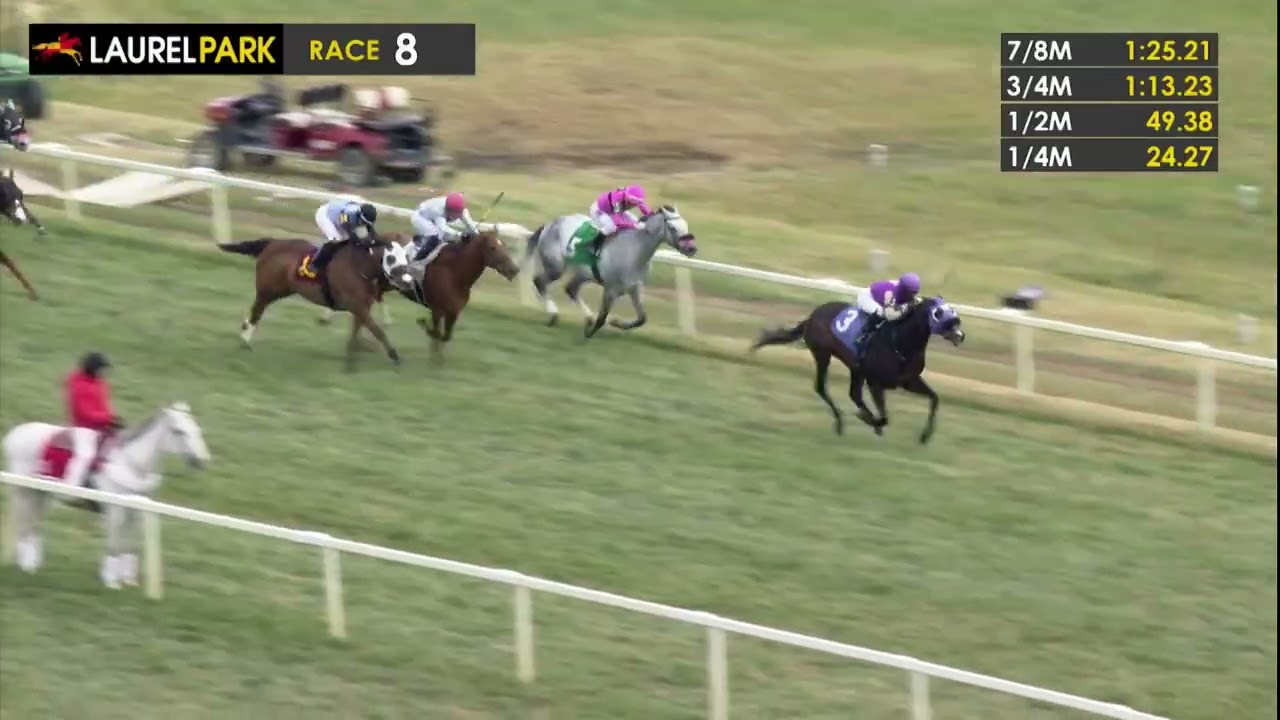 LAUREL PARK 2025-11-27 PL#08_RACE 8