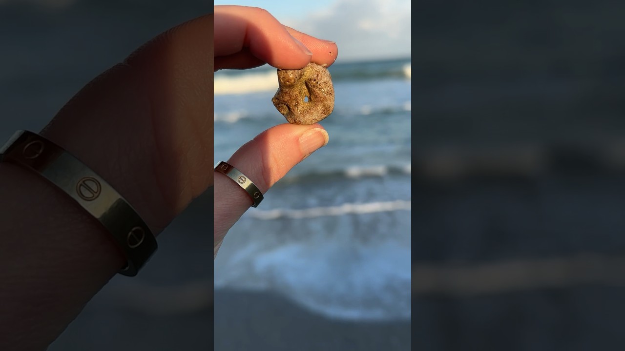 Beach Hag Stone for good luck! #flshelling #beach #hagstone #goodluck #beachrocks #beachcombing