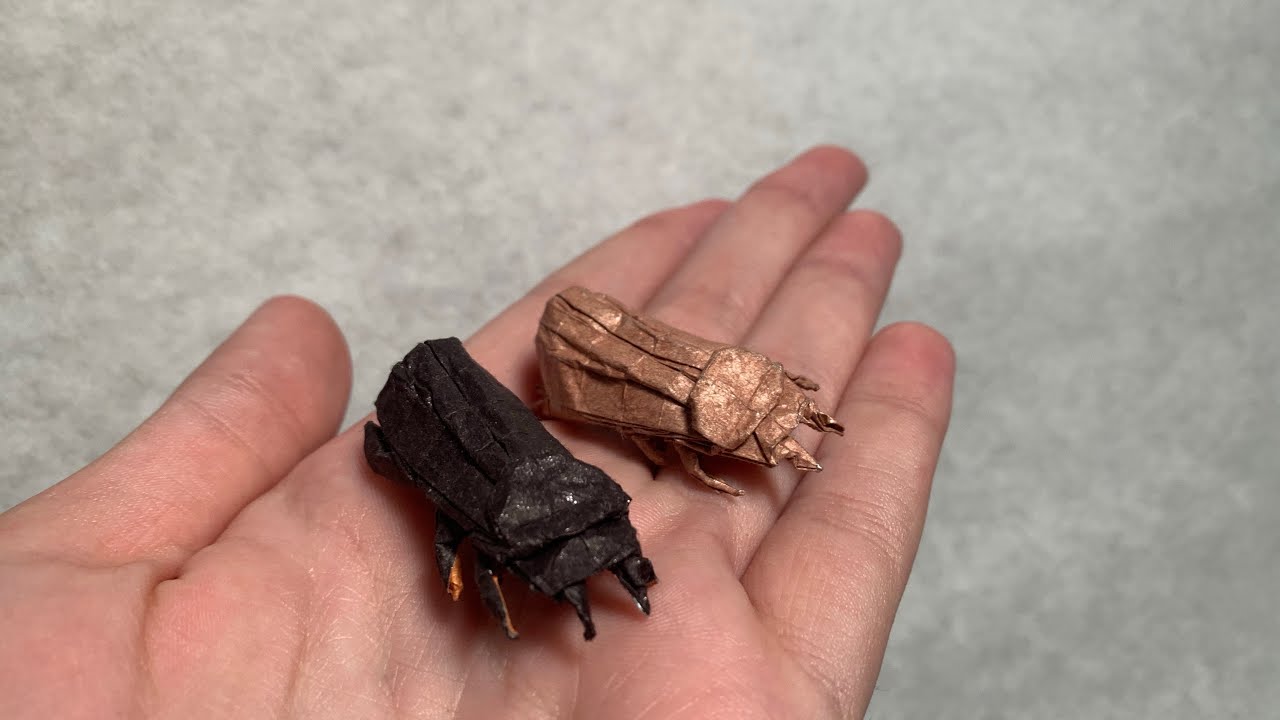 Origami Beetle Tutorial - Crease Pattern Help