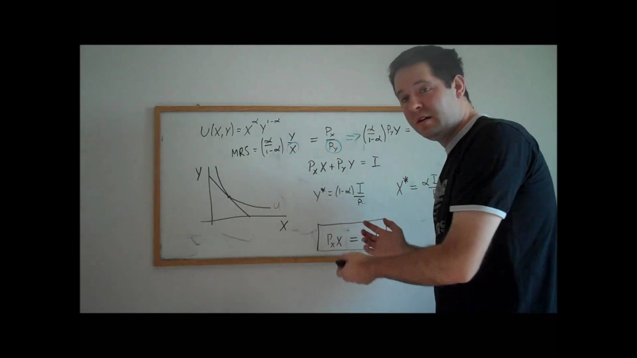 9b. Cobb-Douglas Utility and Demand