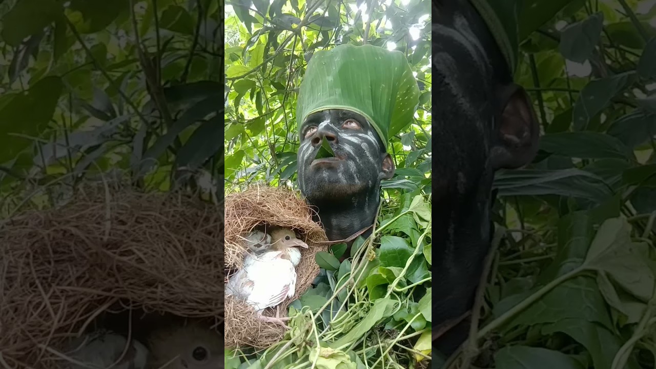 forest human# bird# sound# call# shorts# video