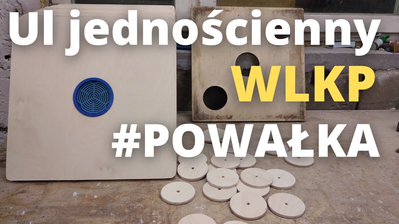 #101 Ul jednościenny wielkopolski - POWAŁKA