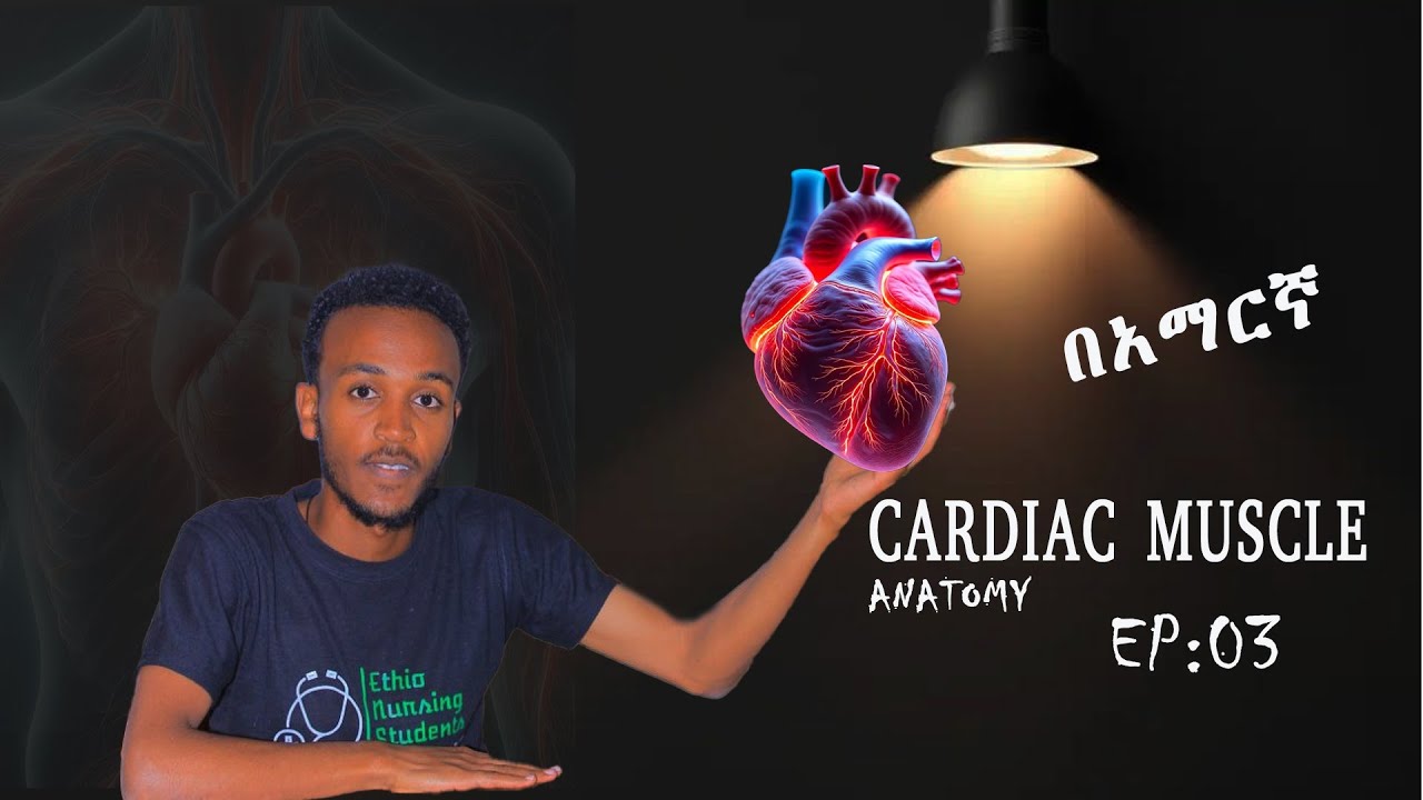Anatomy Cardiac Muscle Ep:03