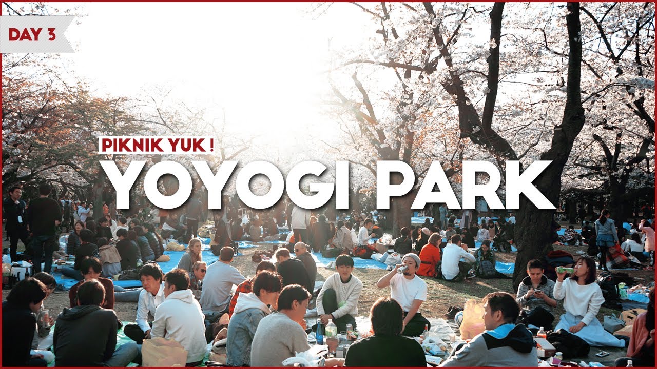 Piknik di Jepang, berasa kayak di film anime komik Jepang - Yoyogi park / Vlog Jepang hari 3 - Awi