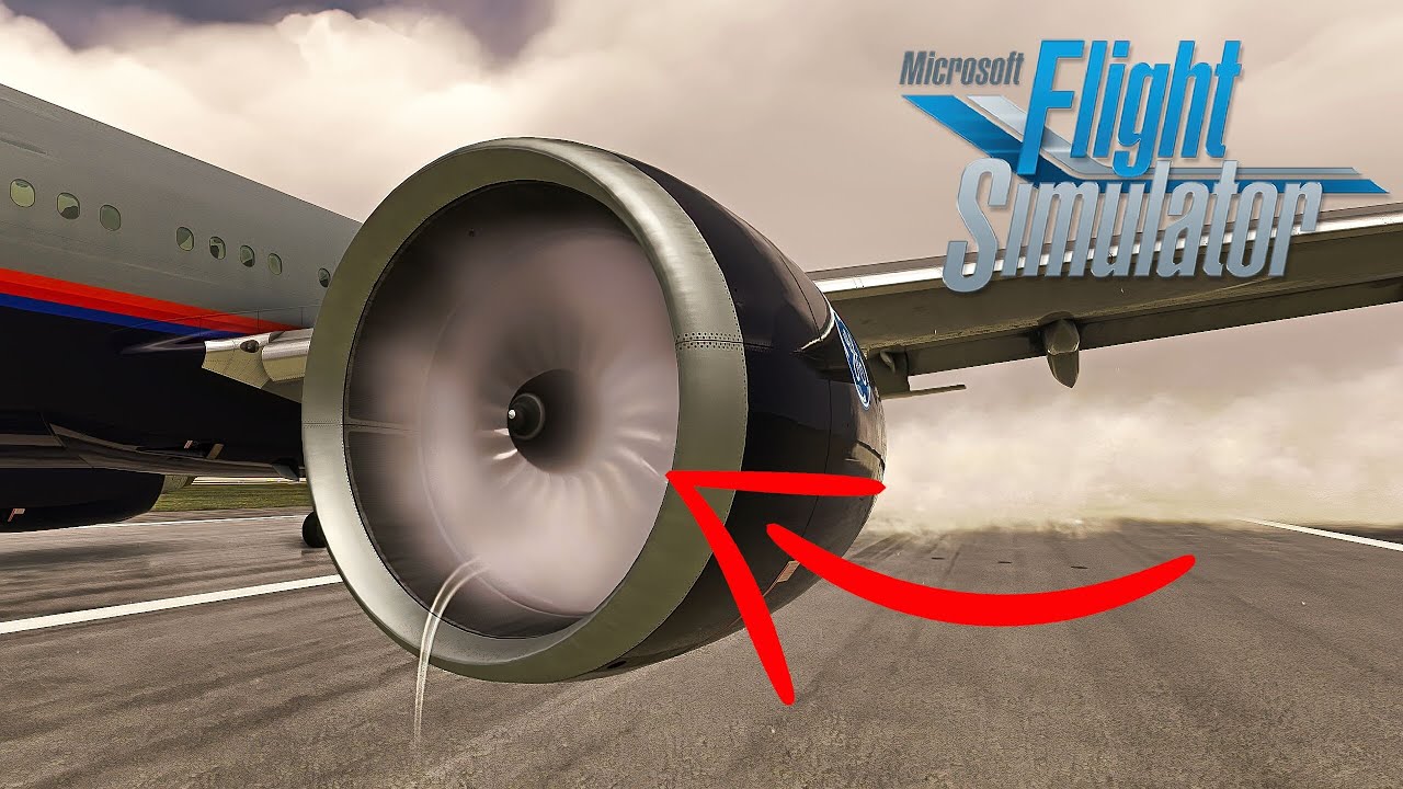The Most INSANE Flight Sim Experience Yet