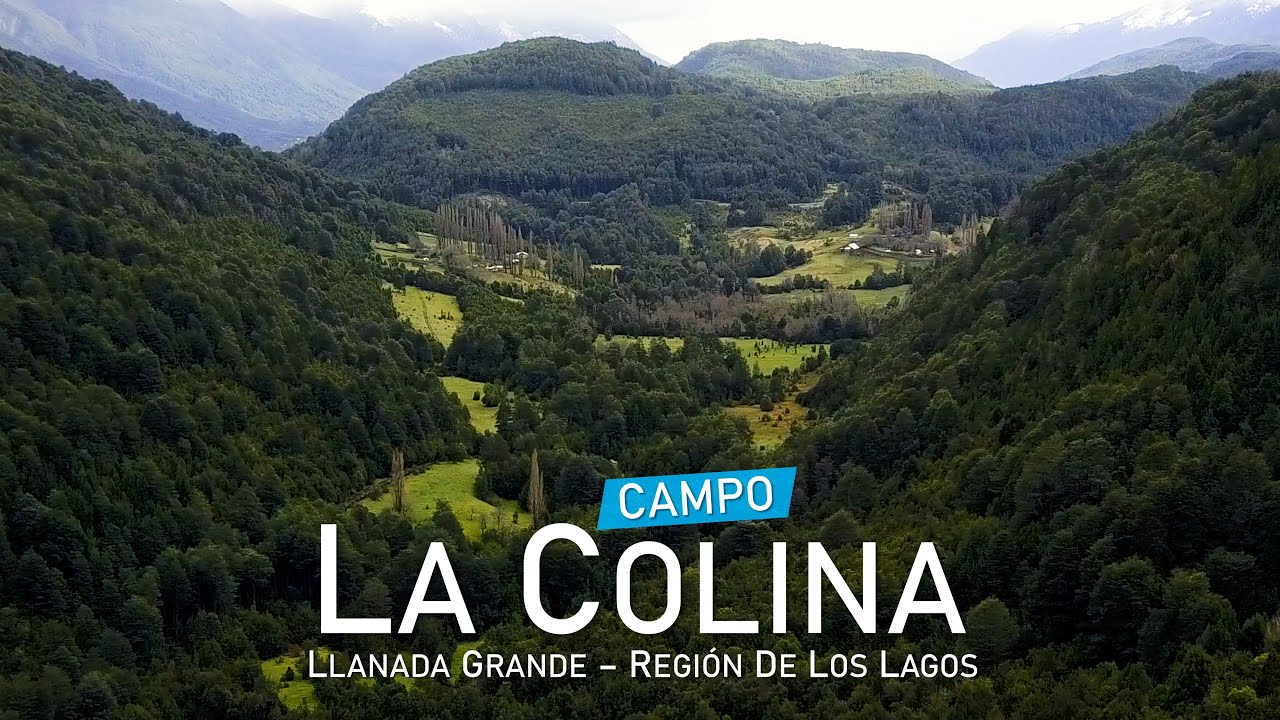 Campo La Colina, Llanada Grande – Región de los Lagos