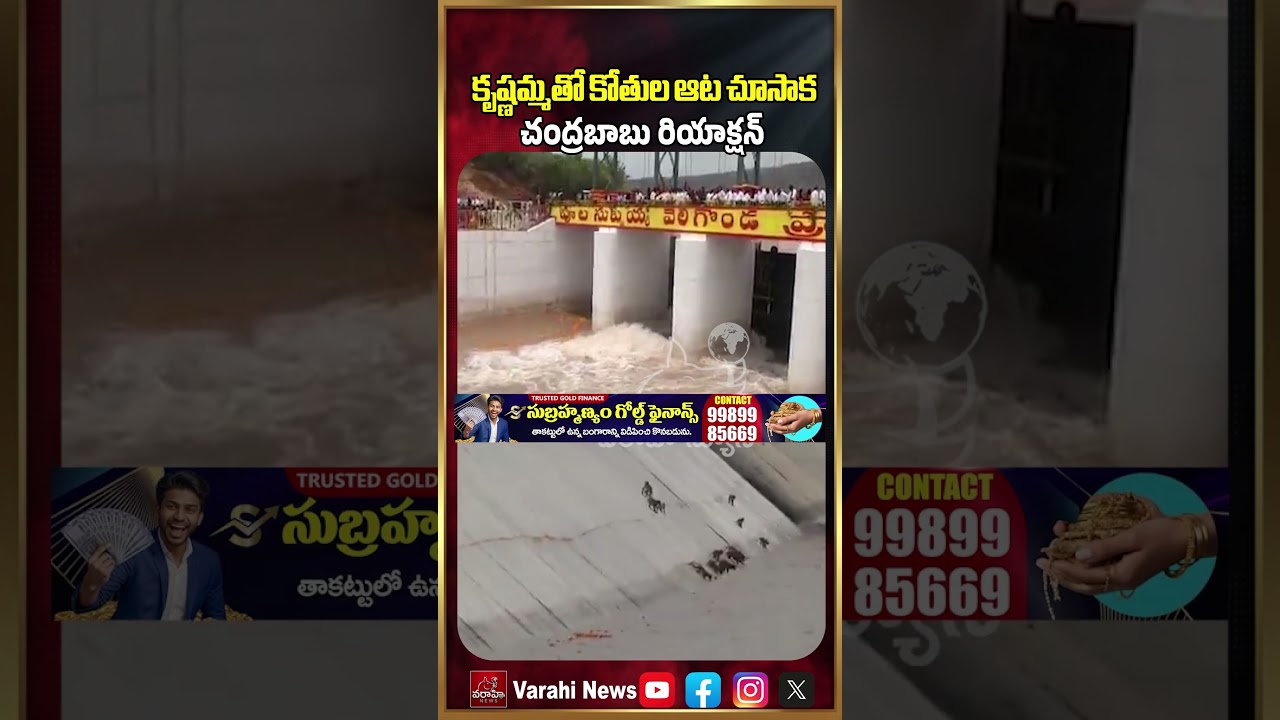 కృష్ణమ్మతో కోతుల ఆట చూసాక చంద్రబాబు రియాక్షన్ చూడండి | CM Chandrababu Naidu Reaction | Varahi News
