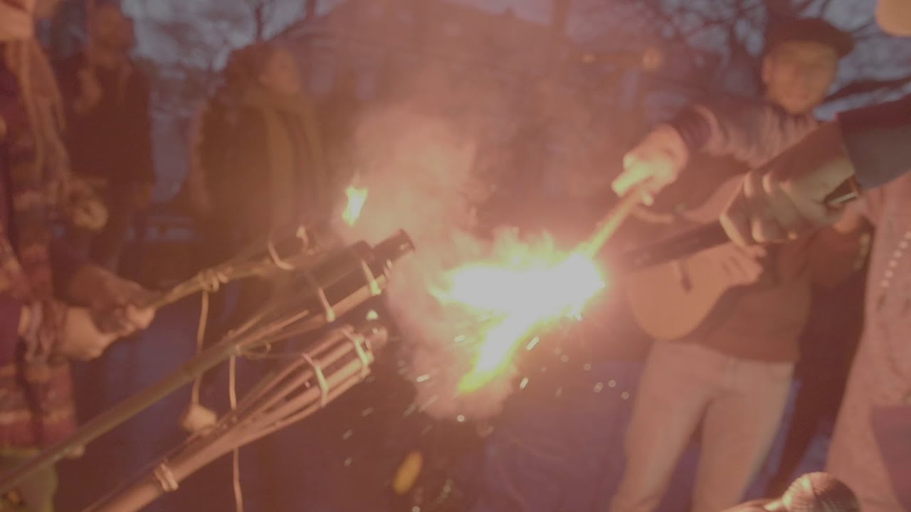 Roots Rising - Viva (la Revolution)