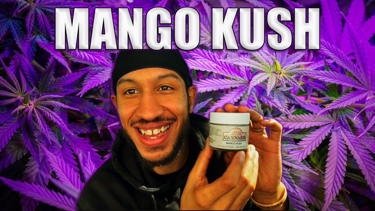 Mango Kush Strain Review 🥭 | Brentwood Greens Cannabis Breakdown