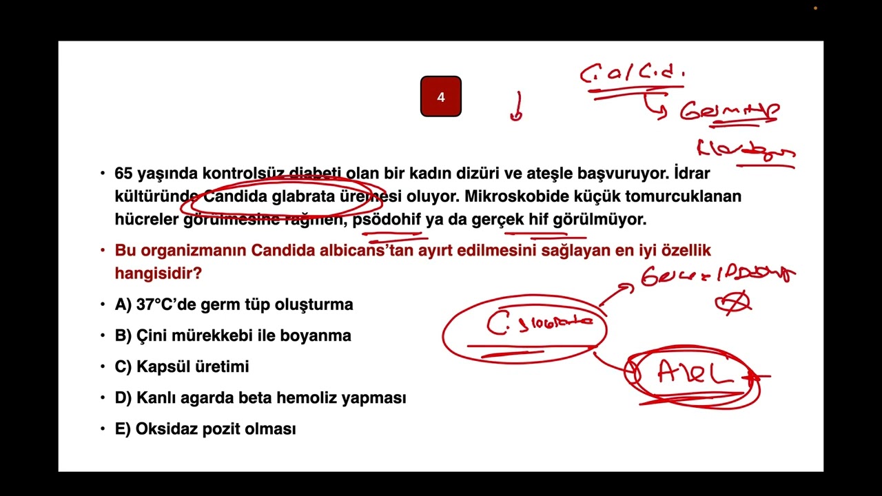 1. FA DUS MİKROBİYOLOJİ DENEME SINAVI-1