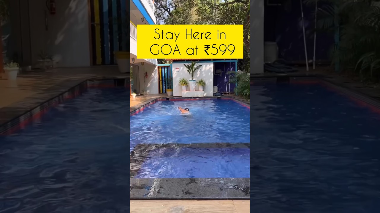 best room in affordable price😍 #goa #trandingshorts