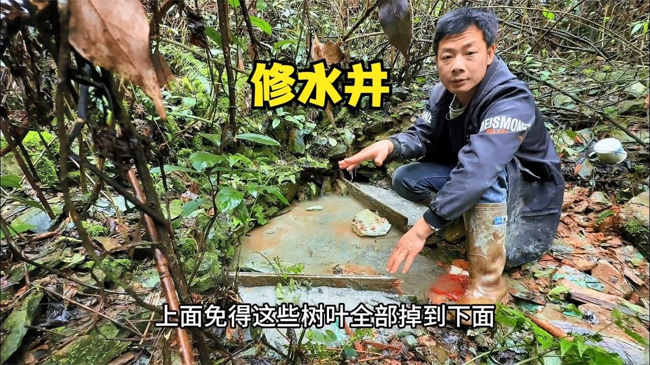 雨锅鱼塘硬化第三天！
