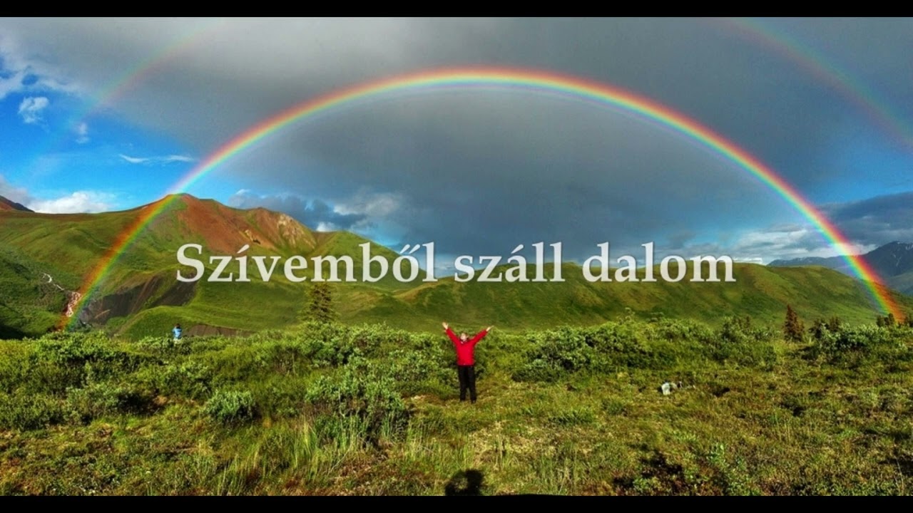 Szivemből száll dalom - Hit Park 2014