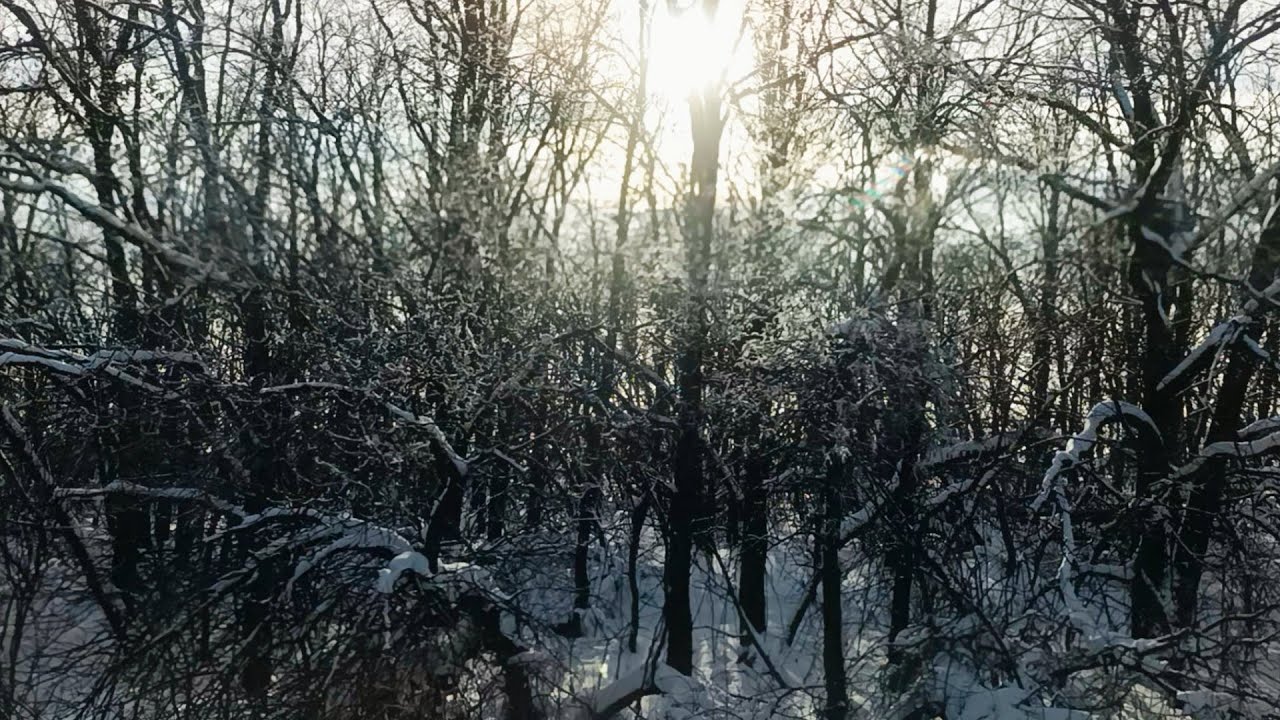 Едем на электричке из Аткарска в Саратов. Середина марта, скоро начнёт таять снег. 