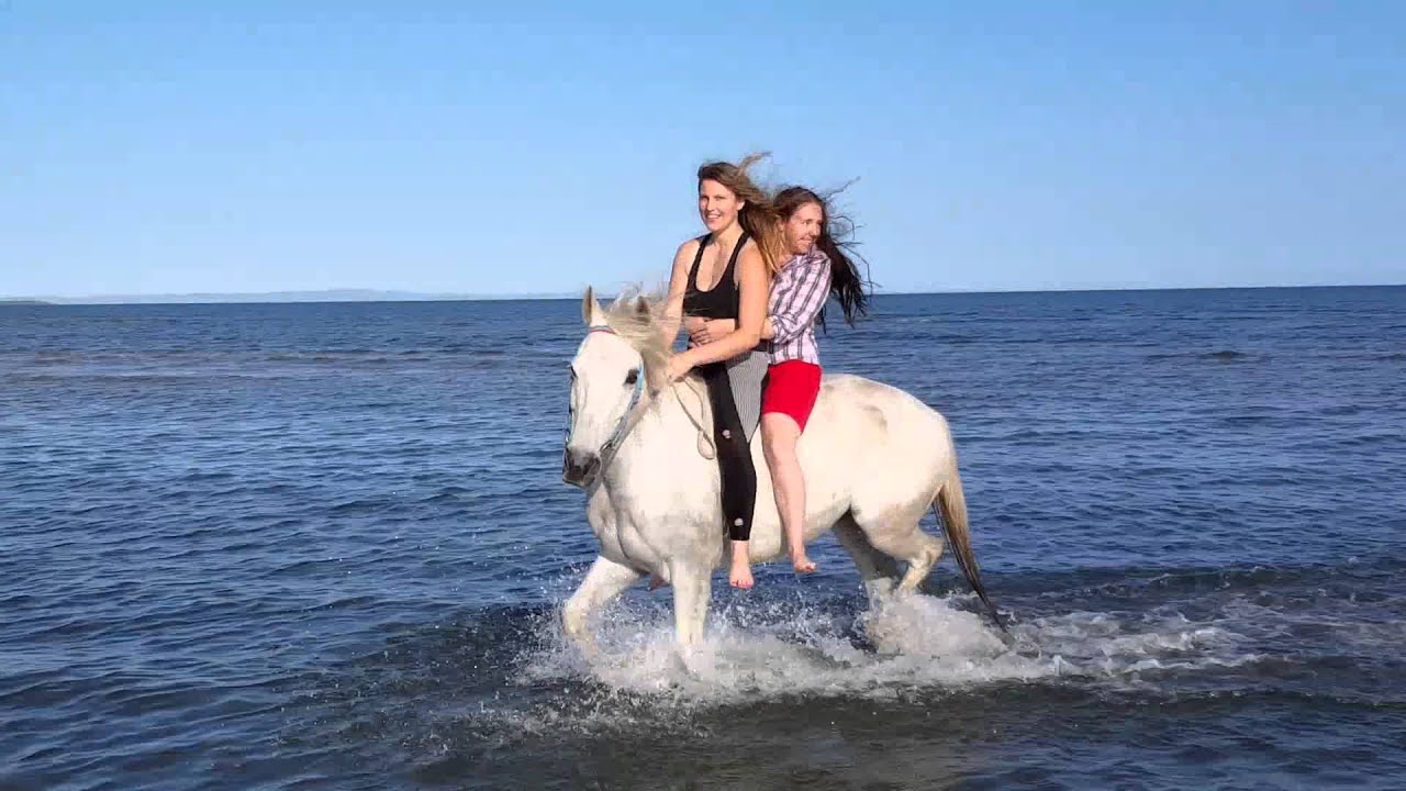 Thrills and Spills - Horse Riding at the Beach.