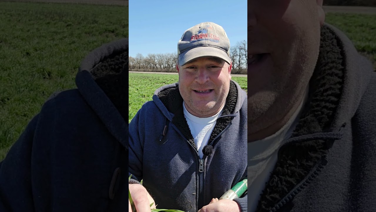 Growing a Solution: How Cover Crops Are Fighting Climate Change & How the USDA Needs to Support Them