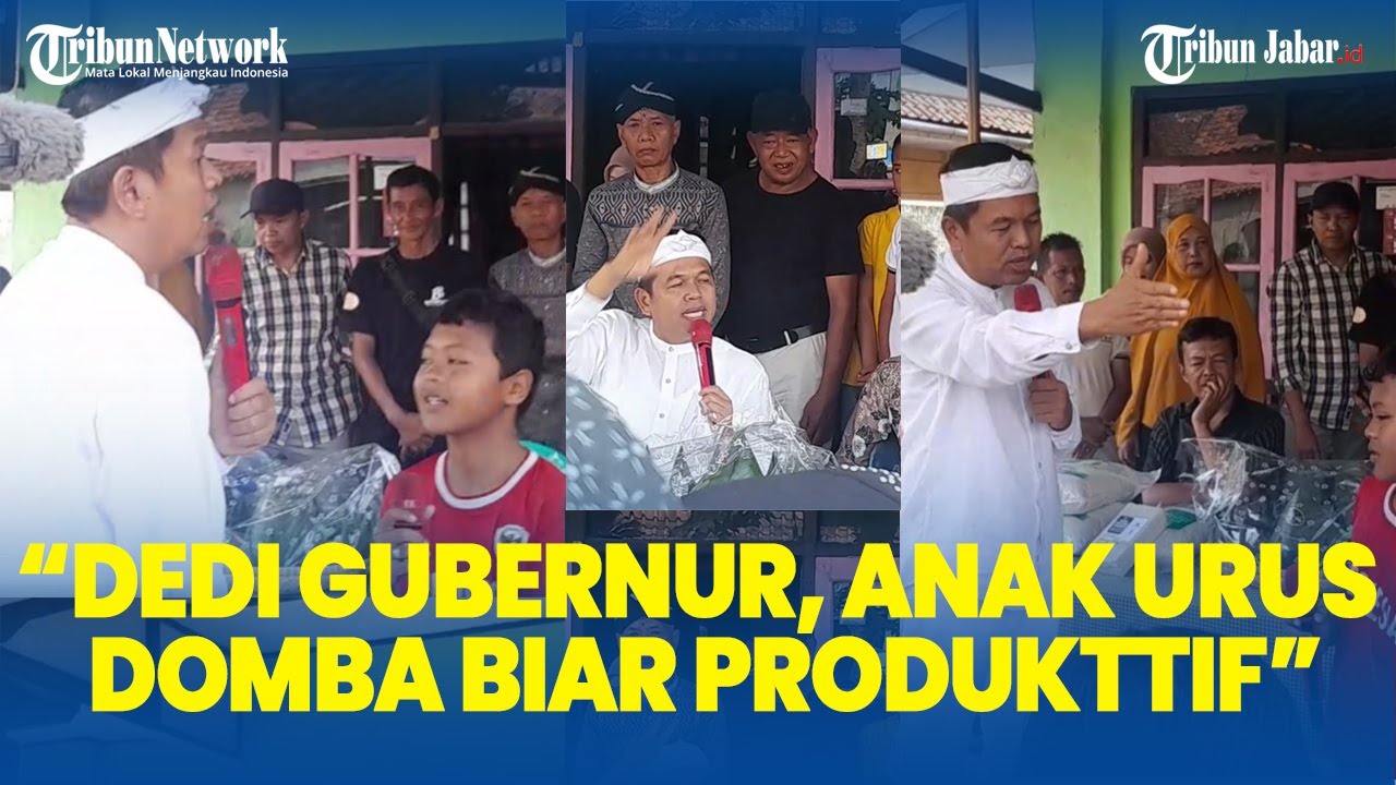 DEDI MULYADI Beri 3 Domba untuk Febri Bocah Ciamis: Kuring Jadi Gubernur Jabar Dombana Kudu Jadi 8!