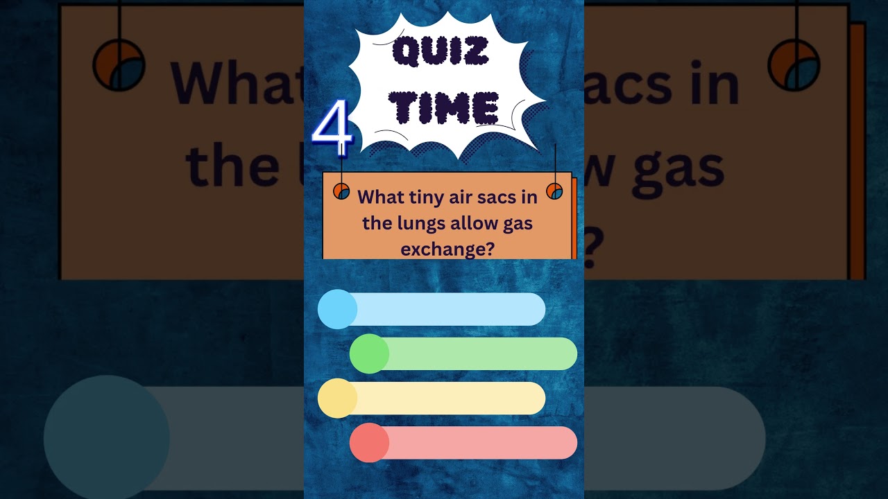 Lungs QUIZ challenge #sciencefacts #quiztime #biologyquiz #humanscience #sciencestudents #science