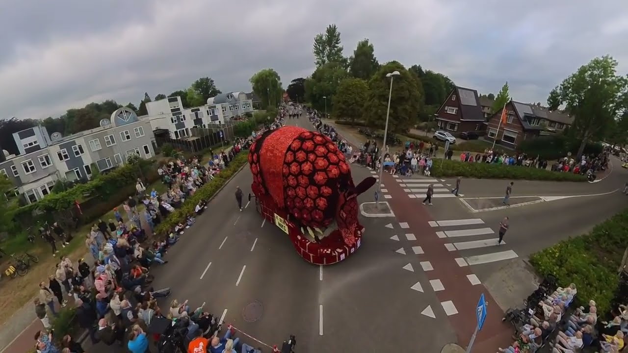 Bloemencorso Winterswijk 2025