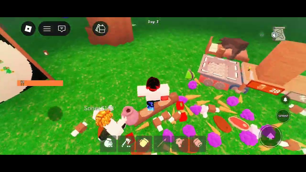 I found a hacker in Roblox