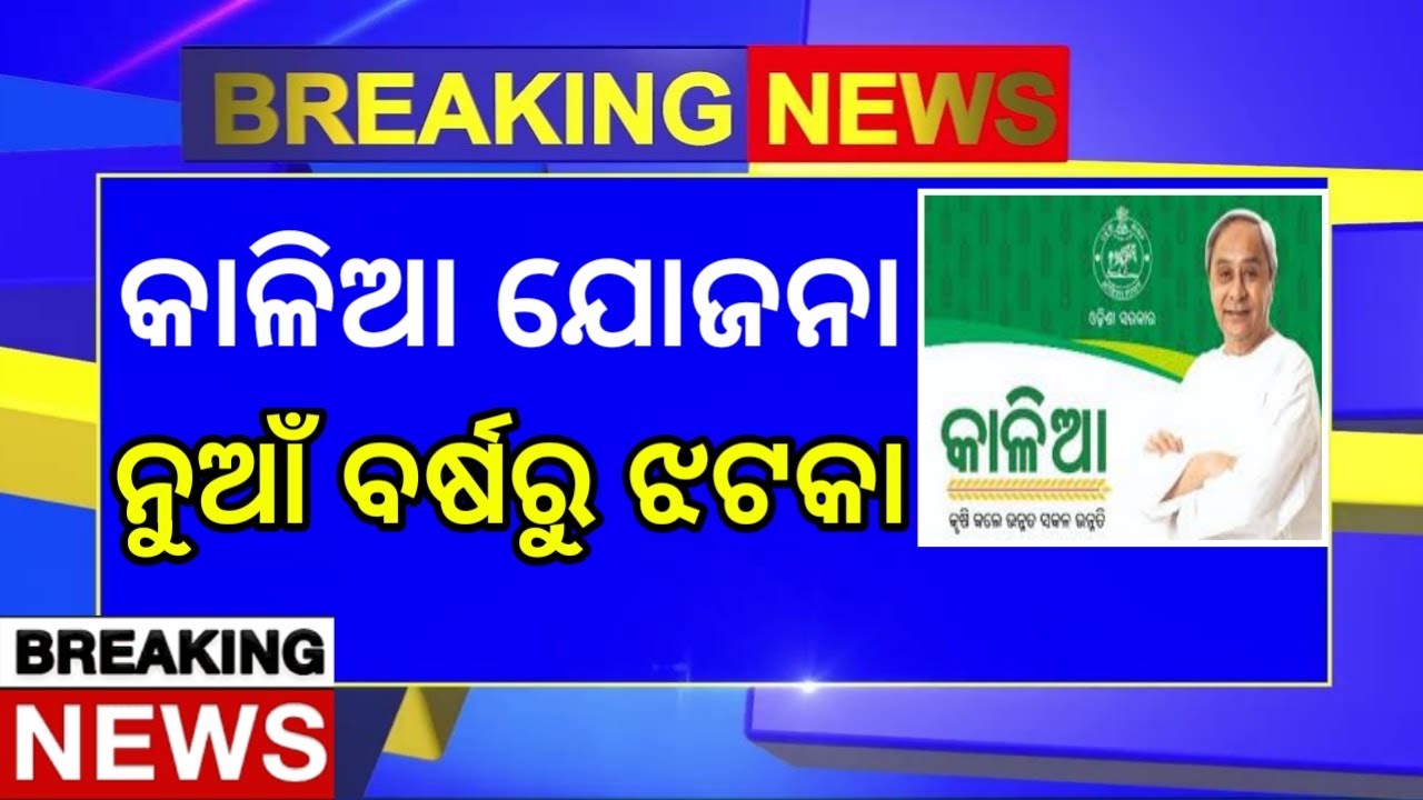 kalia yojana new update today|kalia yojana new apply closed 1 january|odia shakti tv